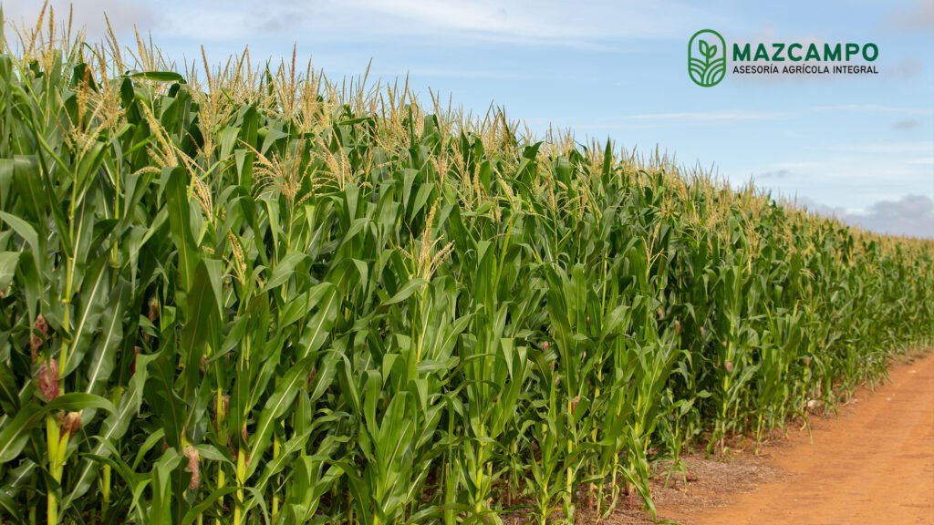 Asesoría Integral Agrícola Especializada