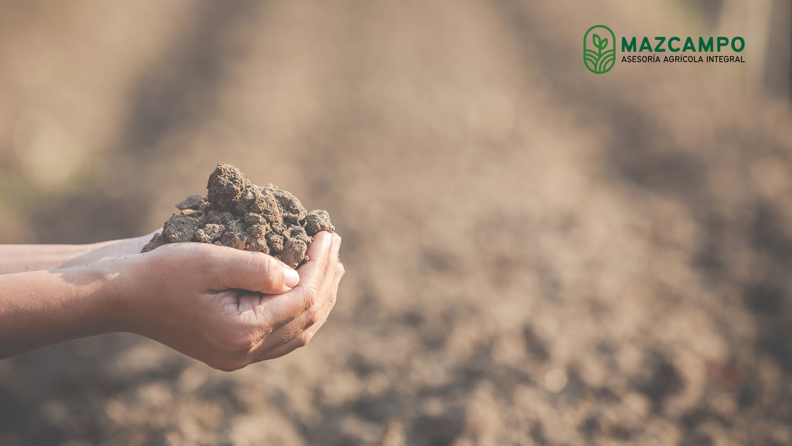 Regeneración de suelos Mazcampo